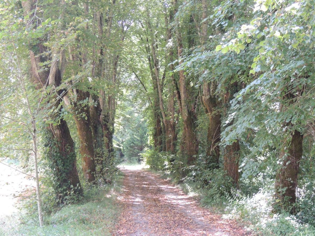 La Tour Du Chambon Leilighet Brignac-la-Plaine Eksteriør bilde